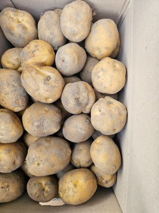 백용기님의 자유주제 · 자유게시판 작성글 사진