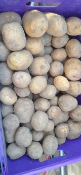 팜모닝 · 게시글 이미지