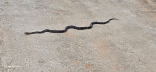 이종록님의 자유주제 · 자유게시판 작성글 사진