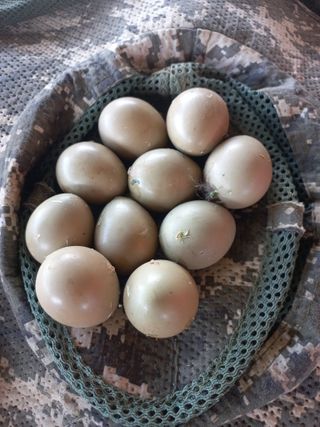 박린님의 자유주제 · 자유게시판 작성글 사진