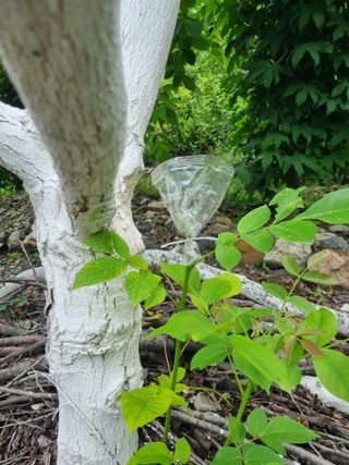 김용대님의 자유주제 · 자유게시판 작성글 사진