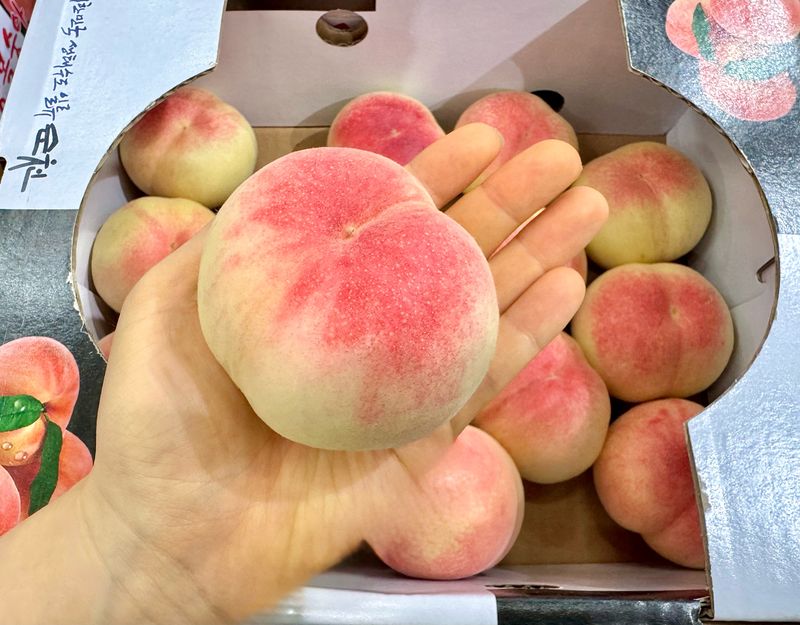 농부손녀님의 장터 판매 상품 [한국판 반납작 복숭아 - 대극천 딱복] 첨부 사진