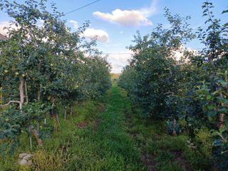 알 수 없음님의 자유주제 · 자유게시판 작성글 사진