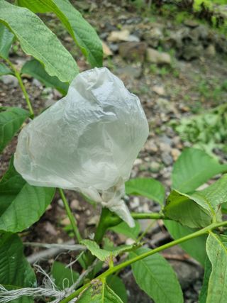 김용대님의 자유주제 · 자유게시판 작성글 사진