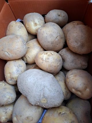 김광자님의 작성글 사진