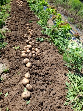 김광자님의 작성글 사진