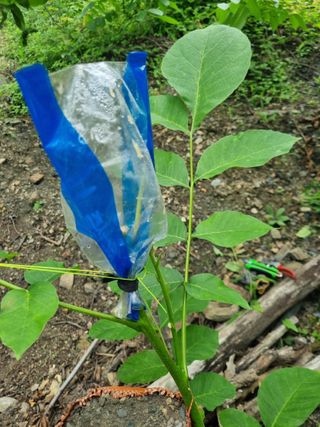 김용대님의 자유주제 · 자유게시판 작성글 사진