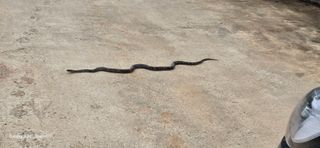 이종록님의 자유주제 · 자유게시판 작성글 사진