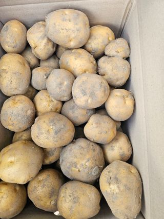 백용기님의 자유주제 · 자유게시판 작성글 사진