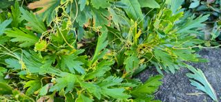 정인환님의 자유주제 · 사진전 작성글 사진