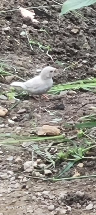 바다사탄님의 자유주제 · 자유게시판 작성글 사진