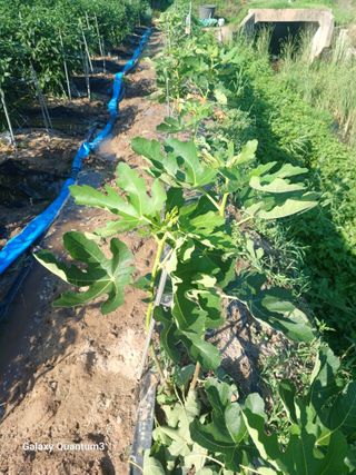 이창우님의 자유주제 · 자유게시판 작성글 사진