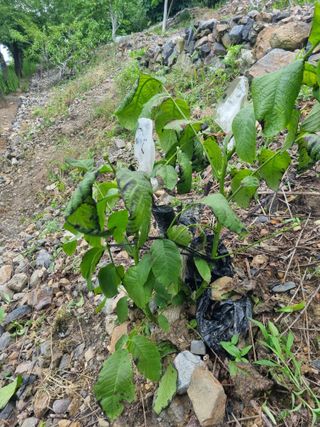 김용대님의 자유주제 · 자유게시판 작성글 사진