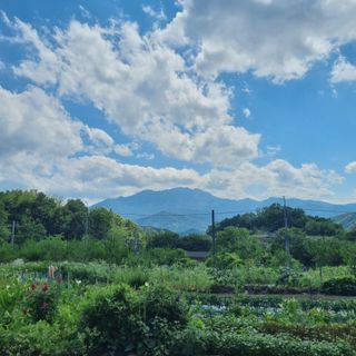 훈&팜님의 작성글 사진