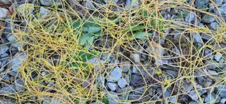 정인환님의 자유주제 · 사진전 작성글 사진