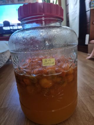 정석범님의 자유주제 · 자유게시판 작성글 사진