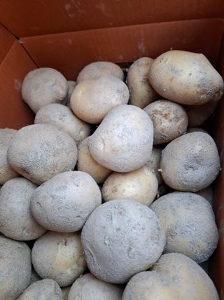 김광자님의 작성글 사진