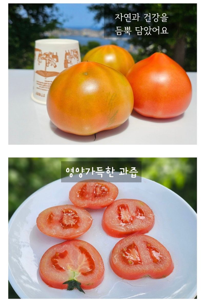 농수사님의 장터 판매 상품 [구룡포 해풍 완숙 토종 찰토마토 5kg] 첨부 사진