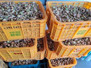 성실한 농부님의 자유주제 · 자유게시판 작성글 사진