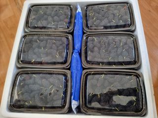 정영기대산축산농부♡님의 자유주제 · 자유게시판 작성글 사진