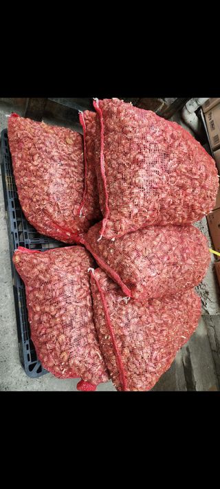 정대장님의 작성글 사진