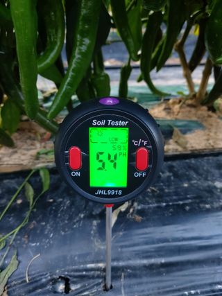 둥이농장(김준태)님의 자유주제 · 자유게시판 작성글 사진