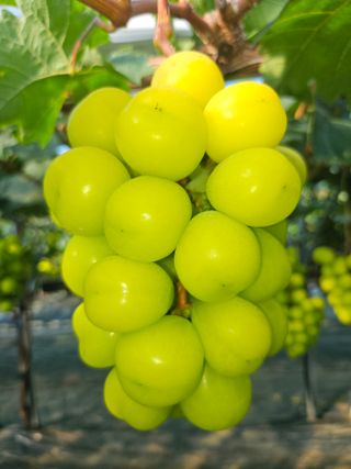 손현순님의 자유주제 · 자유게시판 작성글 사진