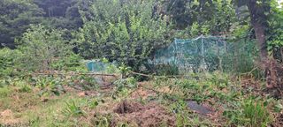 장준재님의 자유주제 · 자유게시판 작성글 사진