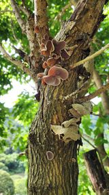 팜모닝 자유주제·자유게시판 게시글 이미지