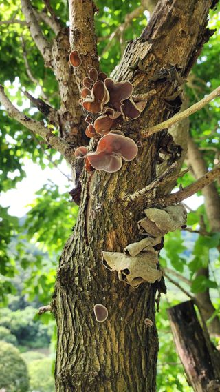 황암골농원님의 자유주제 · 자유게시판 작성글 사진