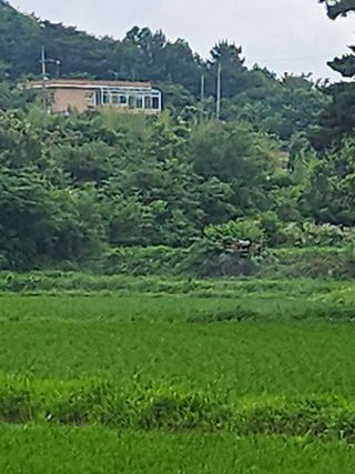 항즐인(즐거운사람)님의 자유주제 · 사진전 작성글 사진