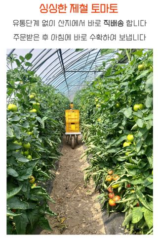 농수사님의 작성글 사진