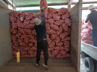 치기석님의 자유주제 · 사진전 작성글 사진