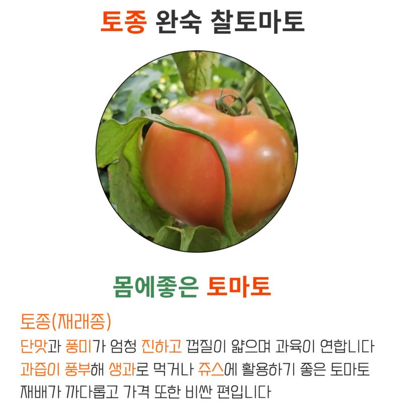 농수사님의 장터 판매 상품 [구룡포 해풍 완숙 토종 찰토마토 5kg] 첨부 사진
