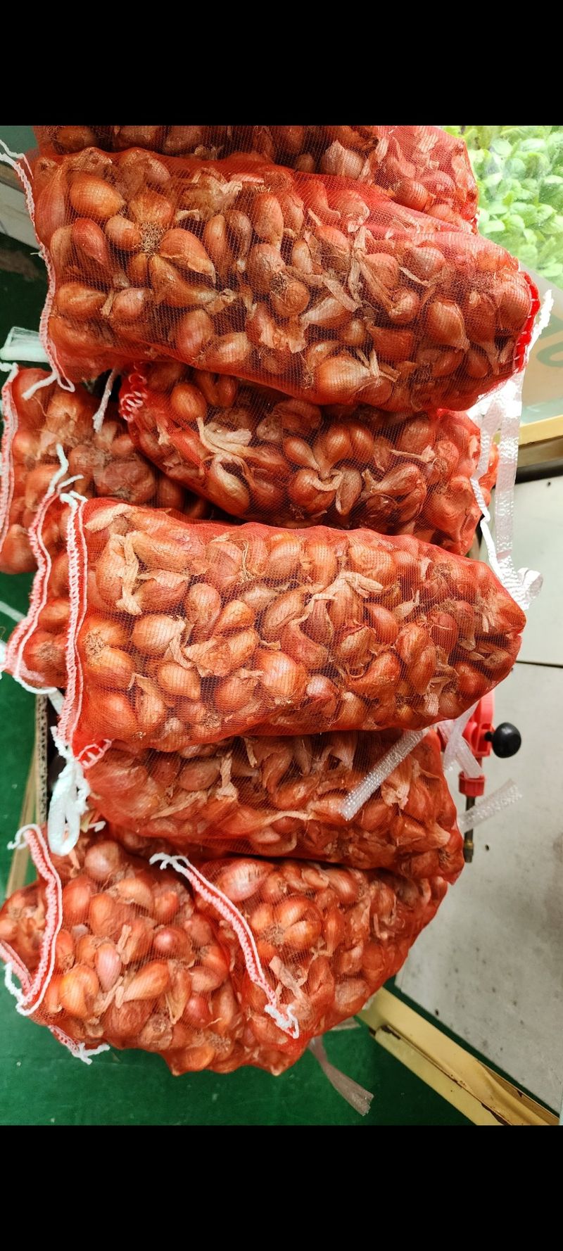 장터 상품 [햇쪽파 5kg 이상 키로 5천원] 썸네일