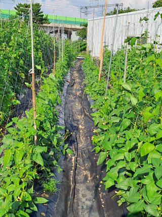 김형철님의 자유주제 · 자유게시판 작성글 사진