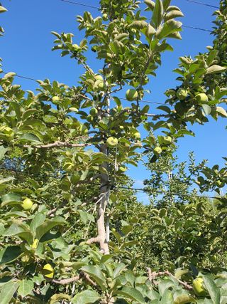 의성,군위 나상덕님의 자유주제 · 자유게시판 작성글 사진