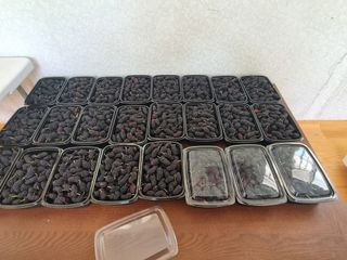 정영기대산축산농부♡님의 자유주제 · 자유게시판 작성글 사진