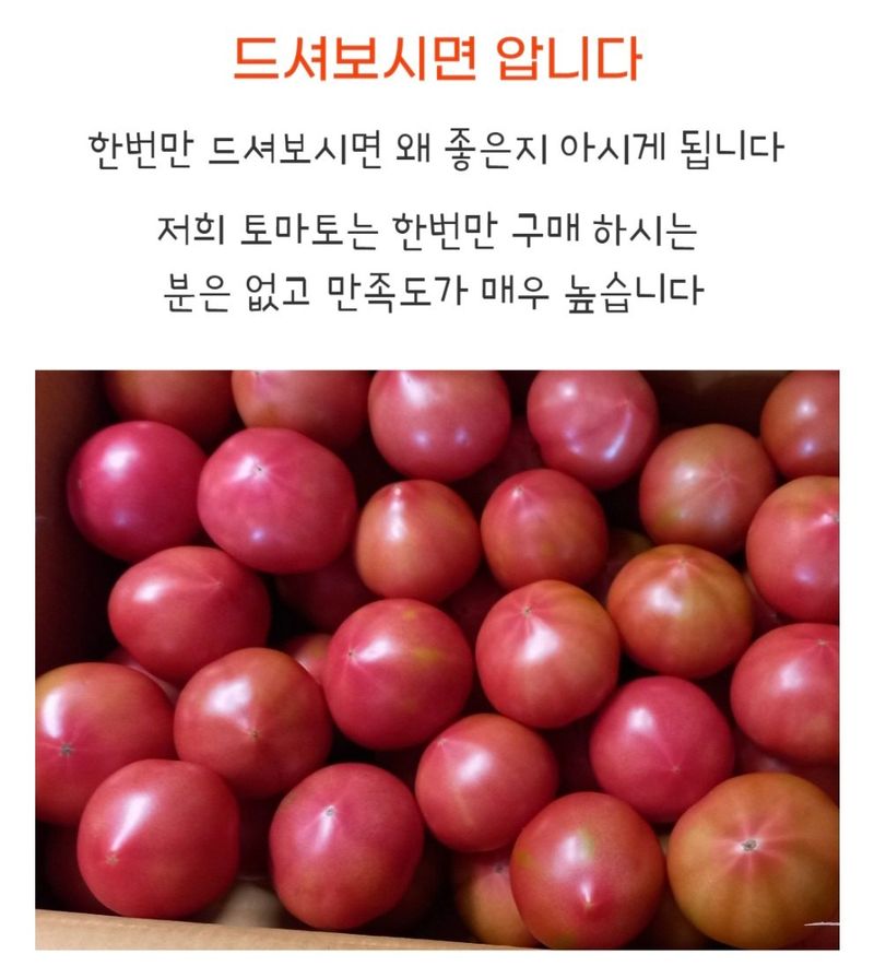 농수사님의 장터 판매 상품 [구룡포 해풍 완숙 토종 찰토마토 5kg] 첨부 사진