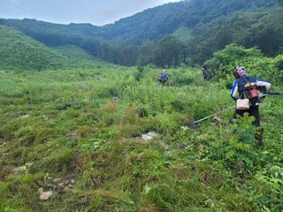 서성환님의 자유주제 · 자유게시판 작성글 사진