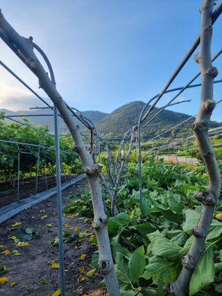 정영기대산축산농부♡님의 자유주제 · 자유게시판 작성글 사진