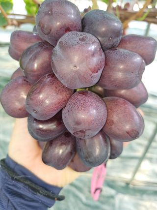 손현순님의 자유주제 · 자유게시판 작성글 사진