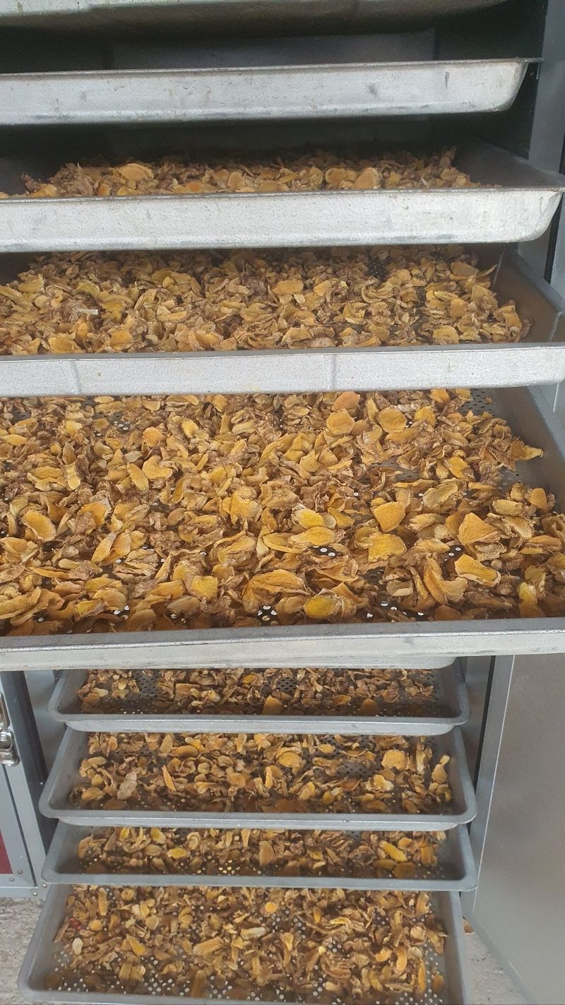 송원정님의 장터 판매 상품 [관절염에 좋은 진도 울금가루 300g] 첨부 사진