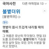 팜모닝 자유주제·자유게시판 게시글 이미지