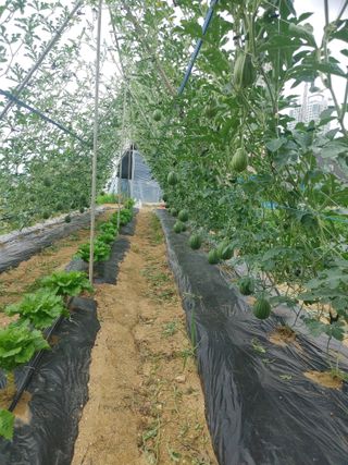 김세진님의 자유주제 · 자유게시판 작성글 사진