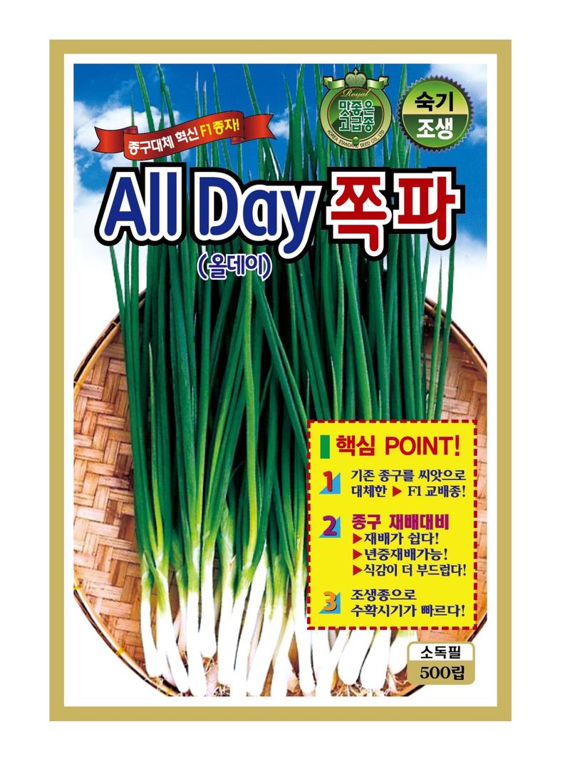 주주씨앗님의 장터 판매 상품 [F1교배종 쪽파씨 All DAY 500립 쪽파씨앗 ] 첨부 사진