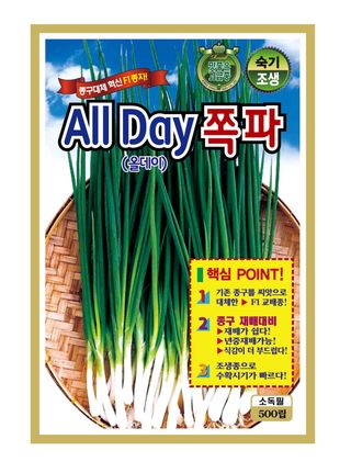 주주씨앗님의 작성글 사진