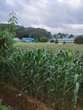 임기석님의 작성글 사진