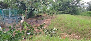 장준재님의 자유주제 · 자유게시판 작성글 사진