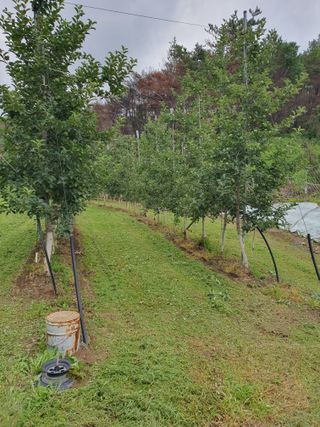 의성,군위 나상덕님의 자유주제 · 자유게시판 작성글 사진